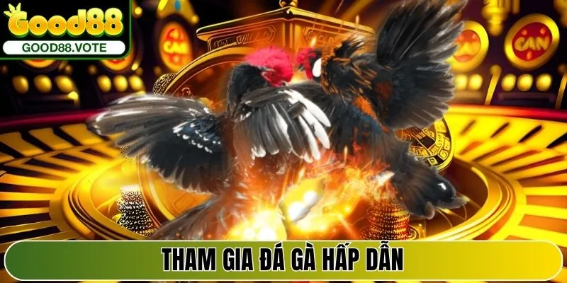 Tham gia Đá Gà hấp dẫn