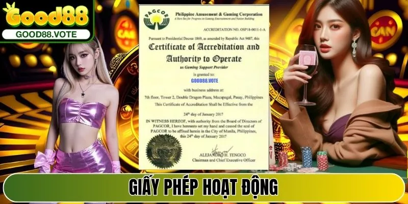 Giấy phép hoạt động