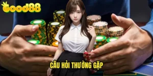 Câu Hỏi Thường Gặp