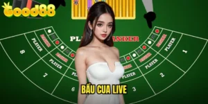 Bầu Cua Live