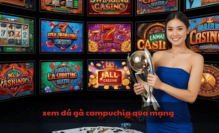 Xem đá gà Campuchia qua mạng: Top 5+ sân chọi hot 2026 2 Xem đá gà Campuchia qua mạng